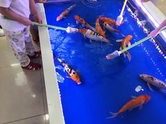 -上海颛桥万达广场