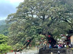 -福建土楼(南靖)景区