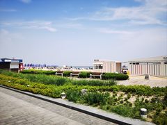 -天津东疆湾沙滩景区
