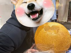 -杨记隆府(重庆总店)