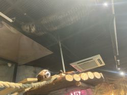 -Zoolung Zoolung动物主题公园(海信广场店)