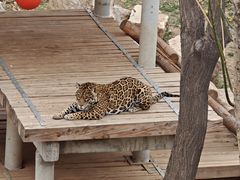 -石家庄市动物园