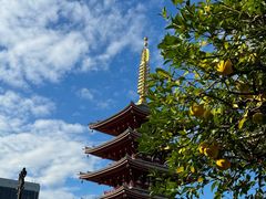 -浅草寺