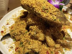 珍宝蟹-尚海豆捞(乐虹坊店)