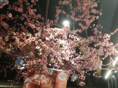 -风波庄(罍街分舵)