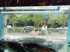 -浔味·山屿湖·正宗淳牌全鱼宴老字号