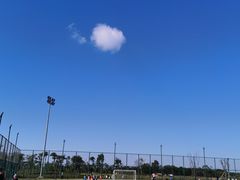 -春花秋色城市公园