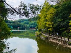 -深圳仙湖植物园