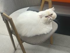 -全心全意动物诊疗中心医院(北苑店)