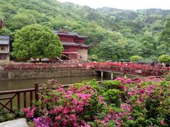 景点竹林寺-木兰云雾山