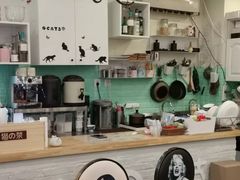 大堂-猫的茶·猫咖