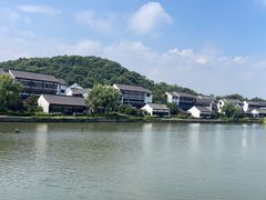 -鲁镇