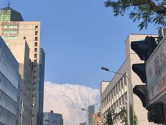 -首都医科大学附属北京潞河医院