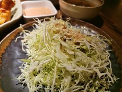 -山杏yama-katsu·吉列炸物