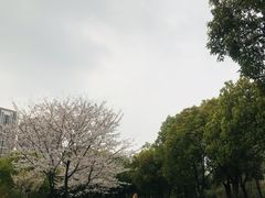 -堤角公园