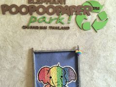 -大象粑粑造纸公园