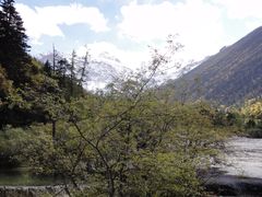 -黄龙山原始森林景区