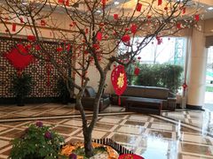 -上海银珠苑度假村-地面停车场