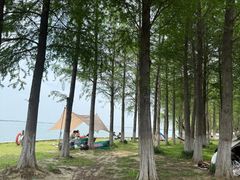 -阳澄湖半岛旅游度假区