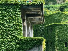 -枸杞岛