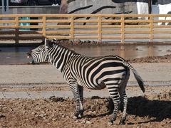 -鄂尔多斯野生动物园