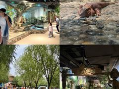 -南京金牛湖风景区