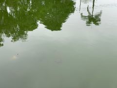 -莲湖山庄
