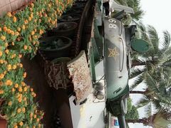 -红色娘子军纪念园