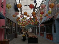 -黄连大头华烧鹅店(大良店)