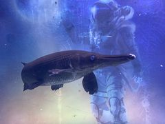 -常州海昌海洋探索馆
