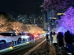 -西北湖绿化广场