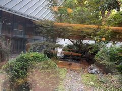 -久宴·天目湖大鱼头(恐龙园店)
