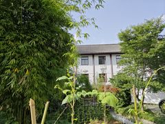-卓刀泉寺