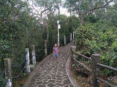 -海口火山口国家地质公园