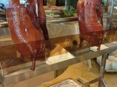 -秦皇国际大酒店·自助餐