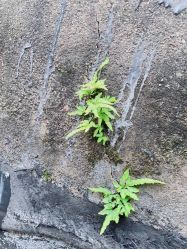 -Oasis Beauty水磨坊科技美肤中心
