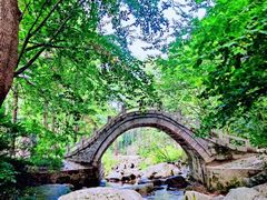 -洛阳白云山景区