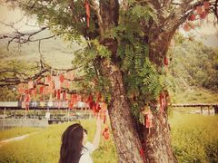 -硗碛藏寨·神木垒景区