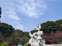 -金鸡山公园