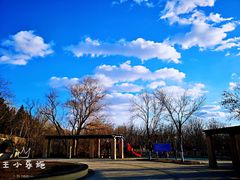 -永定河休闲森林公园