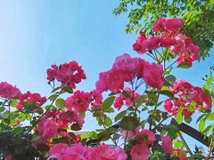 -永乐路-路侧停车场