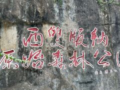 -西双版纳原始森林公园