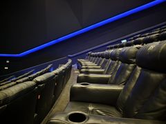 -万达影城(闵行颛桥万达广场杜比影院店)