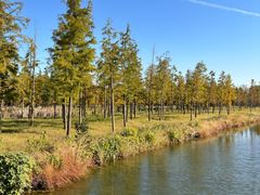 -溱湖国家湿地公园