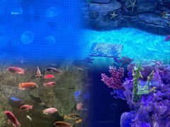 -厦门海底世界
