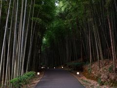 -苏州环秀晓筑养生度假村