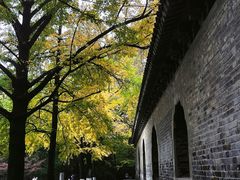 -灵谷景区