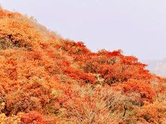 -周口店坡峰岭风景区
