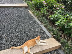 -常州古运河南大街文化旅游区-人民公园