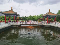 -长春市南湖公园